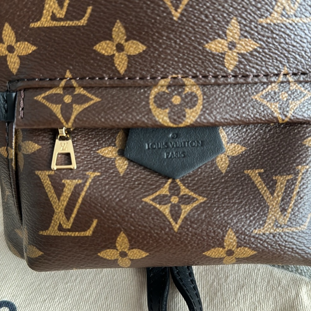 Louis Vuitton Palm Springs Mini Backpack - Picture 3 of 11